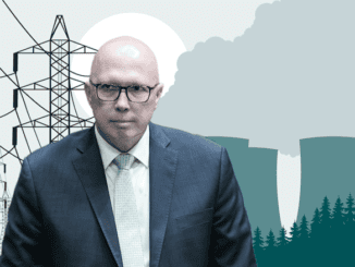 Bald man with power plants and trees.