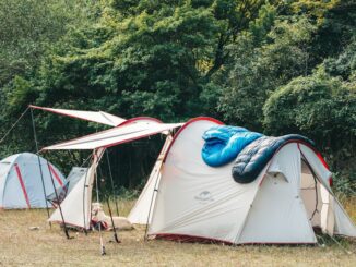 Tents and sleeping bags in a forest.