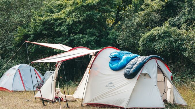 Tents and sleeping bags in a forest. Tents and sleeping bags in a forest.