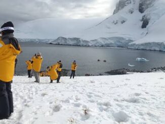 People in yellow jackets on snowy landscape.