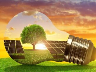 Solar panels and tree inside light bulb.