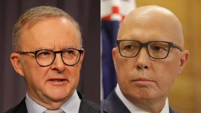 Two men in suits wearing glasses. Two men in suits wearing glasses.