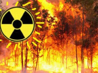 Forest fire with radiation symbol overlay.