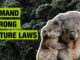 Koala and joey with conservation message.