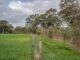 Field with trees and a wire fence.
