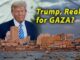Man with "Trump, Realtor for Gaza?" text.