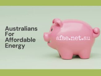 Pink piggy bank with Australians For Affordable Energy.