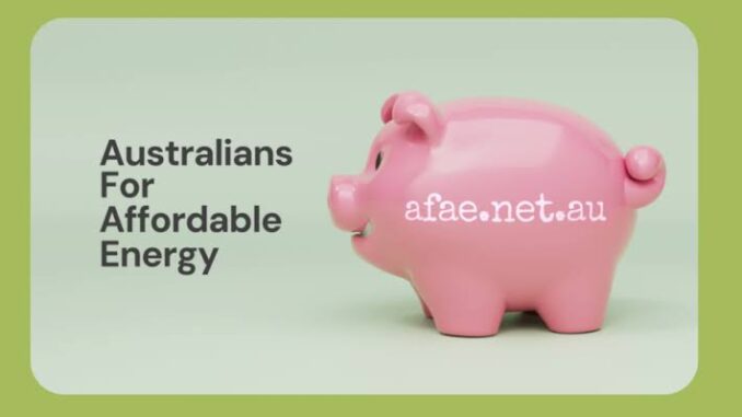 Pink piggy bank with Australians For Affordable Energy. Pink piggy bank with Australians For Affordable Energy.