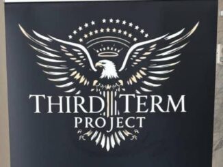 Eagle logo with "Third Term Project" text.