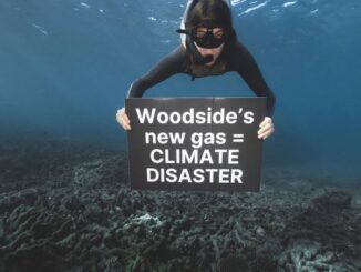Diver holds sign underwater against climate disaster.