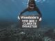 Diver holds sign underwater against climate disaster.