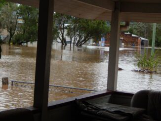 Flooded area with submerged trees and buildings.
