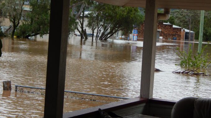 Flooded area with submerged trees and buildings.