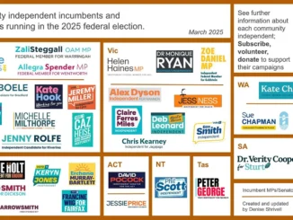 Colorful chart of Australian independent candidate names