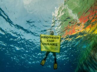 Diver holding "Protect the Oceans" sign underwater.
