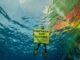 Diver holding "Protect the Oceans" sign underwater.