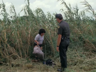 Officer observing person emerging from tall grass.