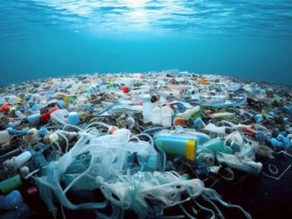 Ocean plastic pollution floating on water.