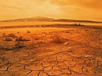 Arid desert landscape with cracked earth.