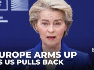 European Commission official addressing the media.
