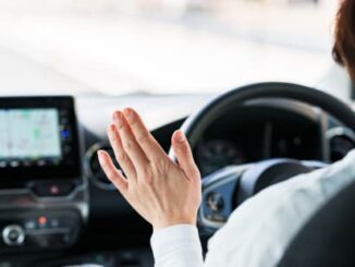 Person gesturing inside car, dashboard visible.