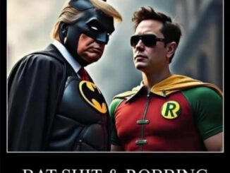 Batman and Robin parody with humorous text.