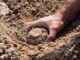 Hand uncovering buried object in dirt.