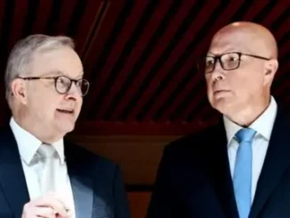 Two men in suits near holiday decorations.