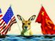 Marsupial framed by American and Chinese banners