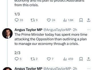 Politician criticizes Prime Minister on economic issues.