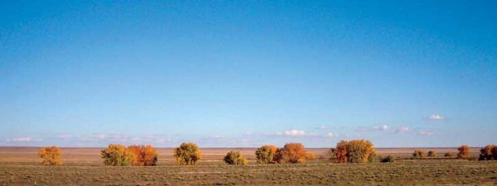 A vast open field with scattered autumn trees under a clear blue sky.