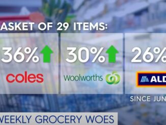 Price increases for groceries including apples, woolworths, and Aldi items.