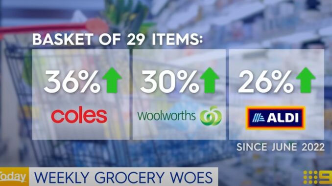 Price increases for groceries including apples, woolworths, and Aldi items.