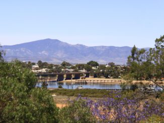 A scenic bridge over water with mountains and flowers in the background.