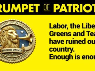Political badge with a call to action about Labor, Greens, and the country.