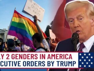 Protesters with rainbow flags confront Trump over transgender rights.