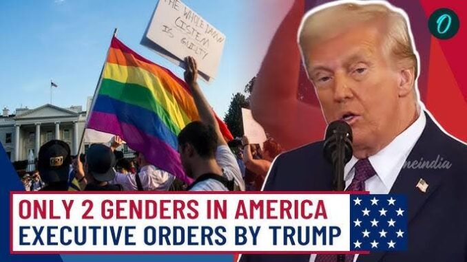 Protesters with rainbow flags confront Trump over transgender rights. Protesters with rainbow flags confront Trump over transgender rights.
