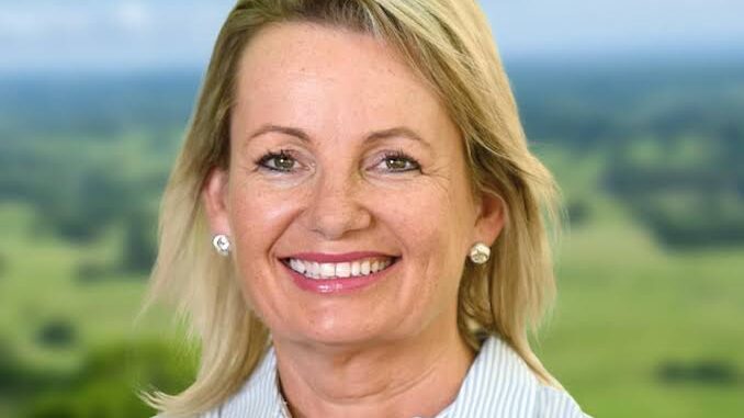 Smiling middle-aged woman outdoors with a natural background. Smiling middle-aged woman outdoors with a natural background.