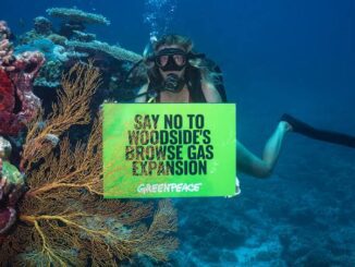 Diver holding a Greenpeace sign against fossil fuel extension underwater.