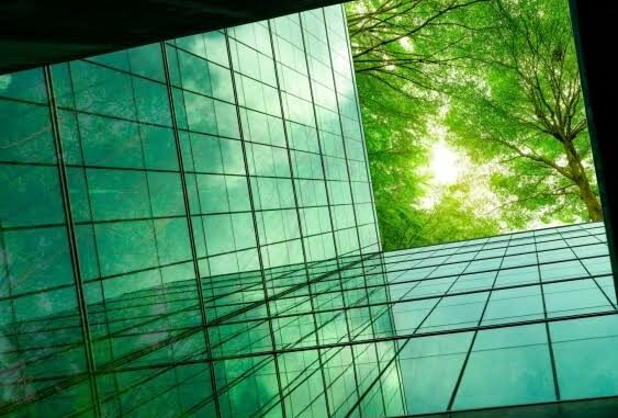 Glass building reflecting green trees under sunlight.