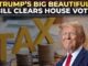 Trump stands confidently in front of stacks of coins and large tax letters.