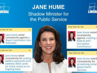 An informational graphic about Jane Hume, Shadow Minister for the Public Service.