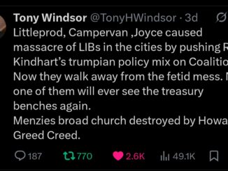 Tweet criticizing political violence and policy consequences in cities.