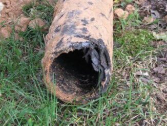 Rusty, broken pipe lying on grass outdoors.