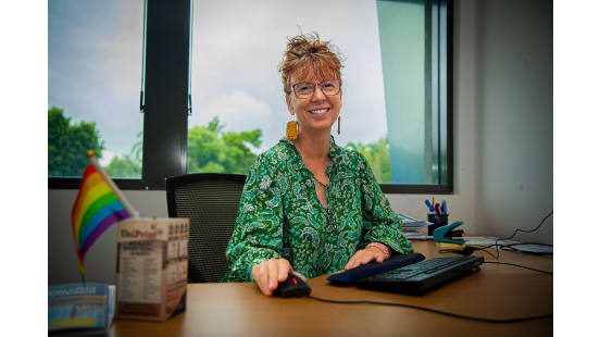 Smiling woman in green blouse working at her desk by a window. Smiling woman in green blouse working at her desk by a window.