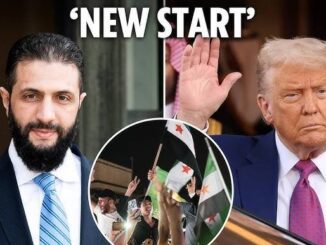 Collage showing a man, Trump waving, and protesters with flags.