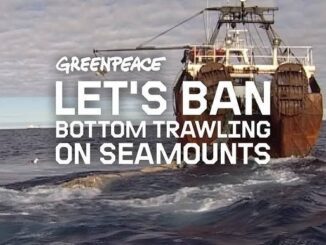 Greenpeace campaign against bottom trawling on seamounts.