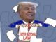 Caricature of Donald Trump in a sailor outfit labeled 'International Law'.