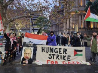 Protesters holding a hunger strike banner for Gaza with flags and portraits.