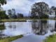 A serene lake with trees reflecting on the water under a cloudy sky.
